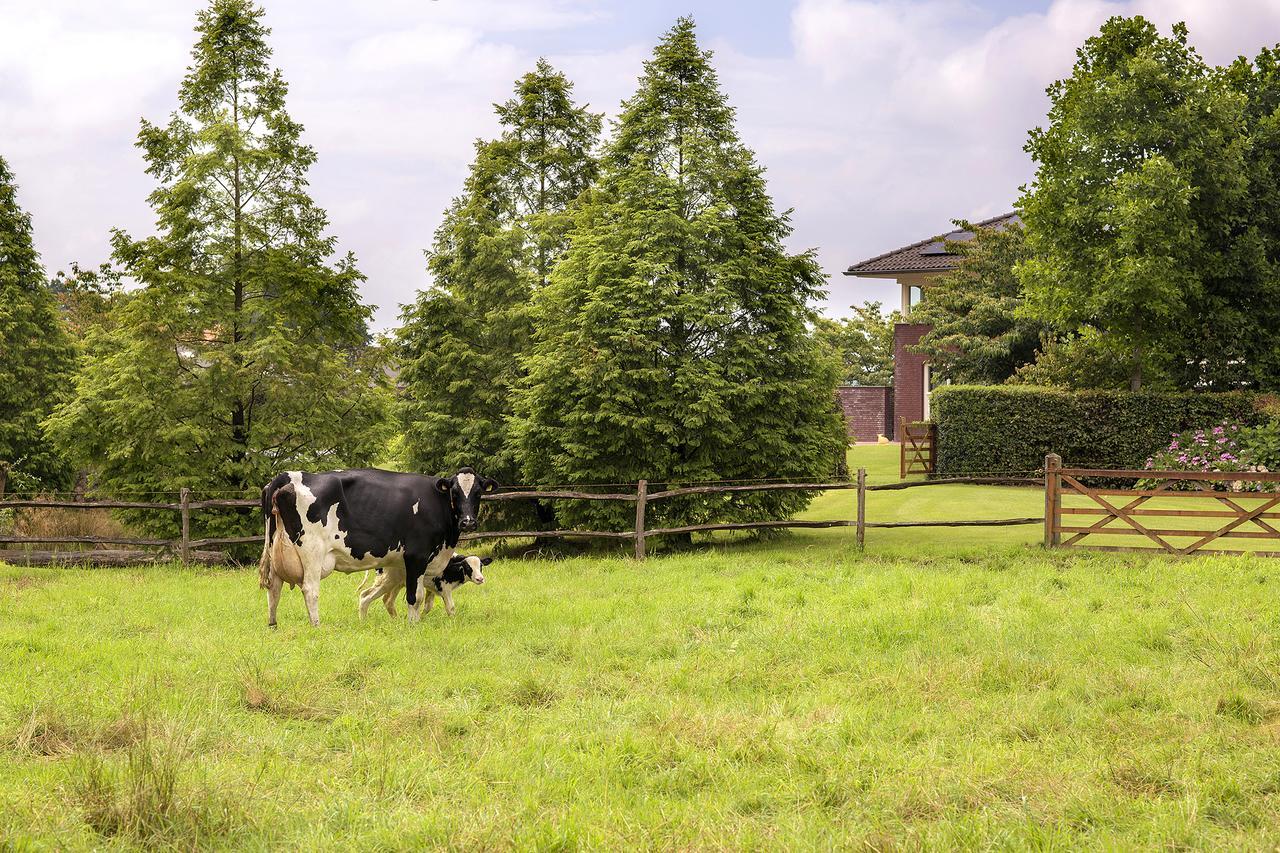 Villa Het Bascour Holthees 外观 照片